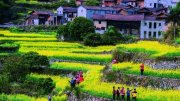 [旅游资讯]助中国游客文明游泰国 中使馆发布详细安全指南